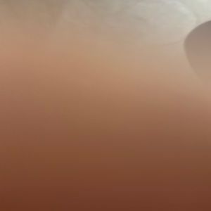 Meet your Posher, Niya